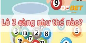 Lô 3 càng là lựa chọn vàng tại Debet cho người mê số lớn 3 Lô 3 càng DeBet