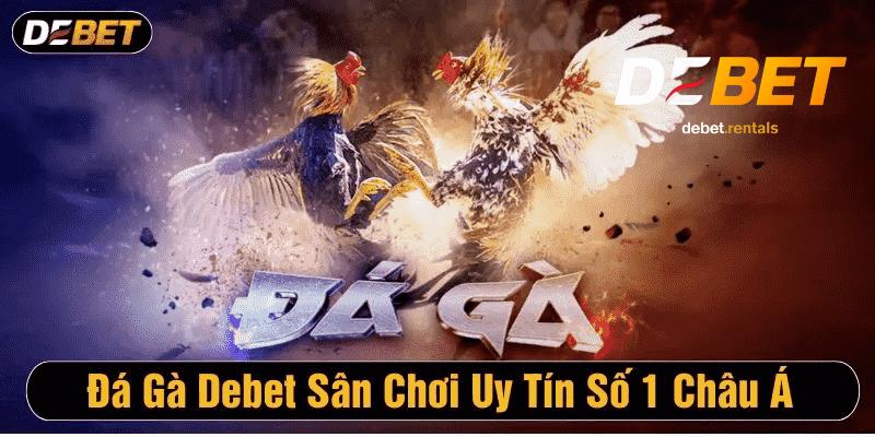 Tổng hợp về sảnh đá gà DEBET